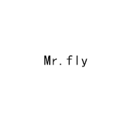 MR.FLY